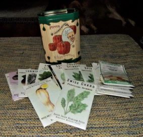 Starting the Countdown Image